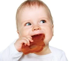 Anneau De Dentition Panda - Hevea