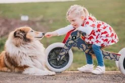 WISHBONE BIKE PANGOLIN - Draisienne 3 En 1